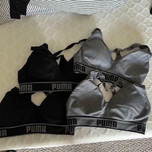 Puma sports bras